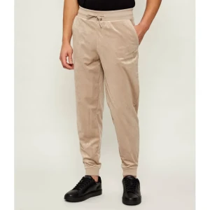 GUESS ACTIVE Spodnie dresowe COCHISE | Regular Fit