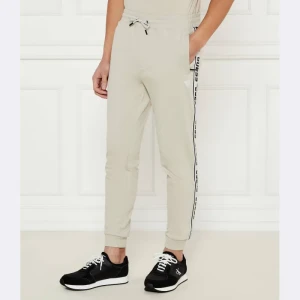 GUESS ACTIVE Spodnie dresowe NEW ARLO | Regular Fit