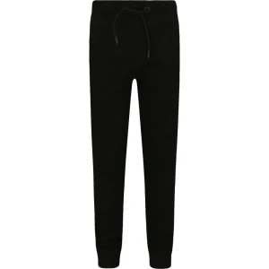 GUESS ACTIVE Spodnie dresowe | Regular Fit