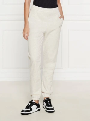 GUESS ACTIVE Spodnie dresowe | Regular Fit szary
