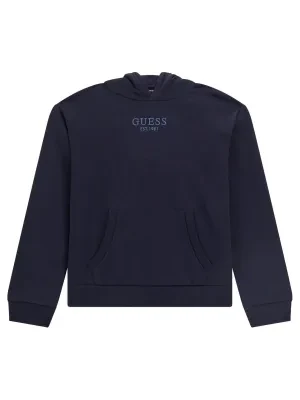 Guess Bluza | Regular Fit