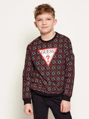 Guess Bluza | Regular Fit