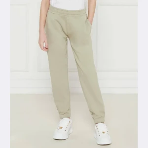 Guess Spodnie dresowe | Regular Fit