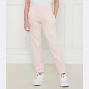Guess Spodnie dresowe | Regular Fit