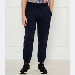 Guess Spodnie dresowe | Regular Fit