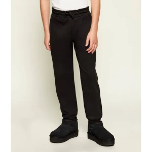 Guess Spodnie dresowe | Regular Fit