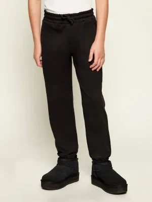 Guess Spodnie dresowe | Regular Fit