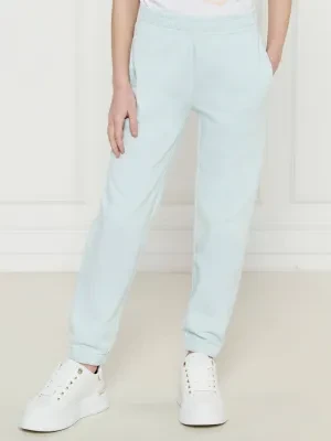Guess Spodnie dresowe | Regular Fit