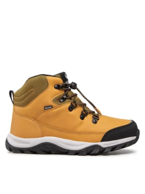 Halti Trekkingi Cody Mid 2 Dx Youth Shoe 054-2842 Brązowy