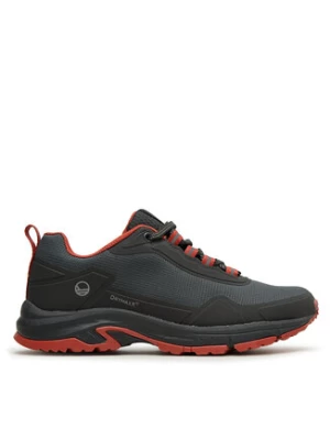 Halti Trekkingi Fara Low 2 Men's Dx Outdoor Shoes 054-2620 Szary