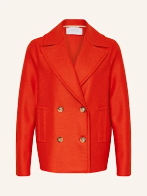 Harris Wharf London Bosmanka rot