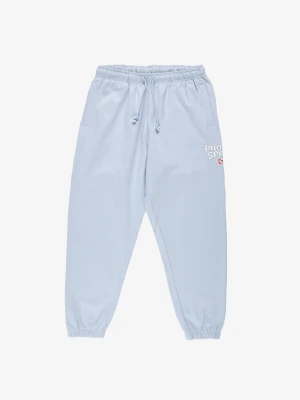 Harvard spodnie dresowe oversize męskie jasnoniebieskie Klasyk