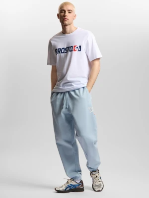 Harvard spodnie dresowe oversize męskie jasnoniebieskie Klasyk