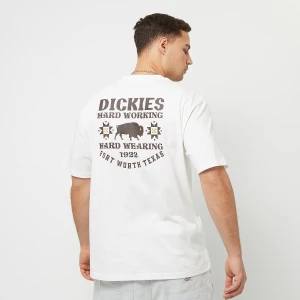 Dickies Hays Tee Shortsleeve mężczyźni T-Shirty i Polo biały rozmiar Odzież