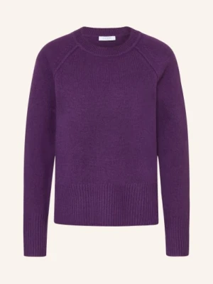 Hobbs Sweter Mandy Z Wełny Merynosowej lila