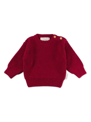 Hofbrucker Sweter w kolorze czerwonym rozmiar: 74/80