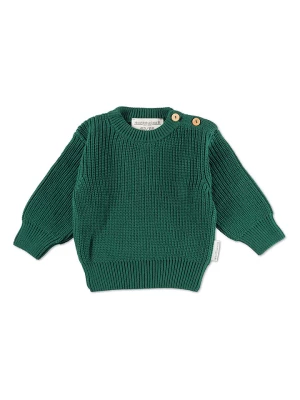 Hofbrucker Sweter w kolorze zielonym rozmiar: 74/80