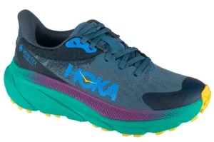 Hoka W Challenger Art 7 GTX 1134502F-RLT, Damskie, Szare, buty do biegania, tkanina, rozmiar: 37 1/3