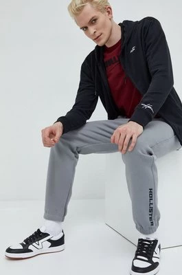 Hollister Co. spodnie dresowe męskie kolor szary gładkie