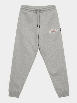 Hoodrich Spodnie $Bind Pant Grey Marl