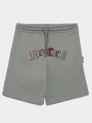 Zdjęcie produktu Hoodrich Szorty Regular Crown szary