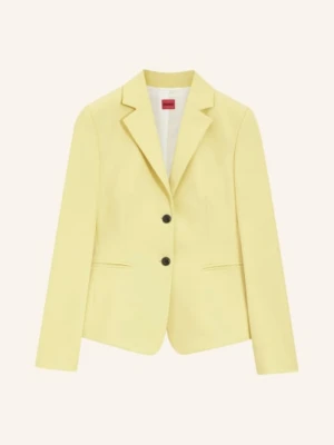 Hugo Blezer Agonia gruen