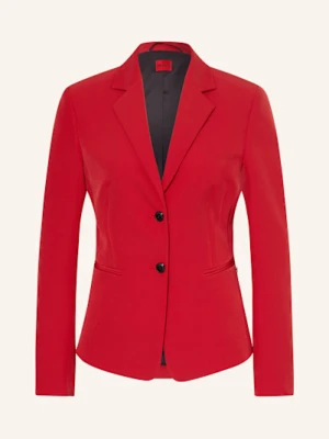 Hugo Blezer Agonia rot