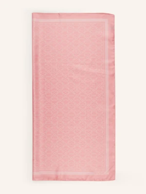 Hugo Chusta Auraize rosa