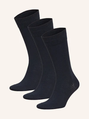 Hugo Skarpety, 3 Pary blau