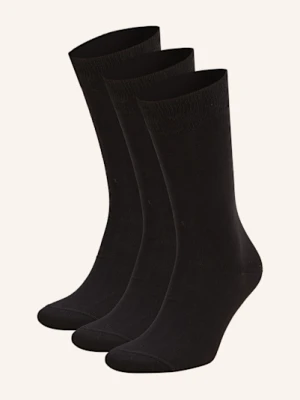 Hugo Skarpety, 3 Pary schwarz