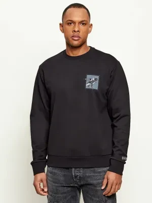 Iceberg Bluza | Regular Fit