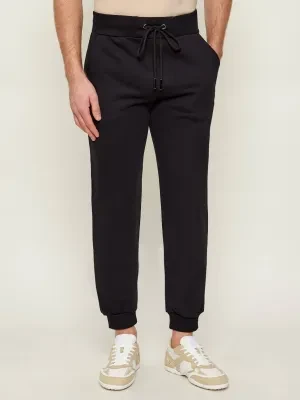 Iceberg Spodnie dresowe | Regular Fit