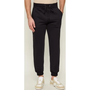 Iceberg Spodnie dresowe | Regular Fit