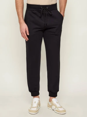Iceberg Spodnie dresowe | Regular Fit