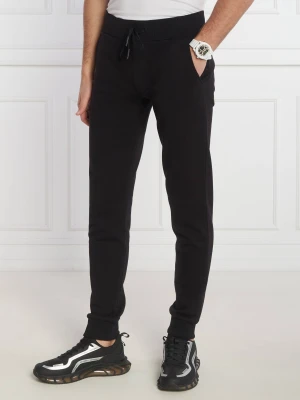 Iceberg Spodnie dresowe | Regular Fit
