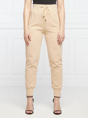 Iceberg Spodnie dresowe | Regular Fit