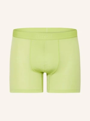 Icebreaker Bielizna Funkcyjna-Bokserki Anatomica Z Wełny Merino gruen