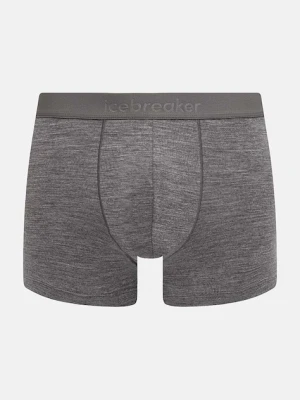 Icebreaker bielizna funkcyjna Merino 125 Cool-Lite Anatomica kolor szary IB0A571V0131