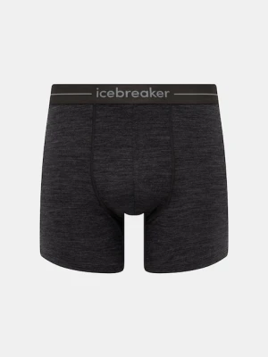 Icebreaker bokserki Anatomica