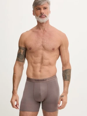 Icebreaker męska z wełny merino Anatomica