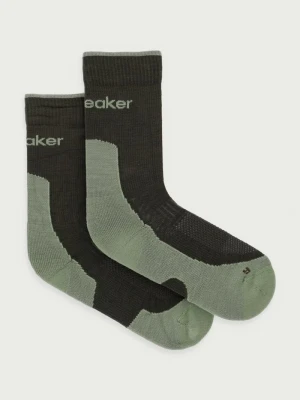 Icebreaker skarpety Merino Hike+ Light zielony