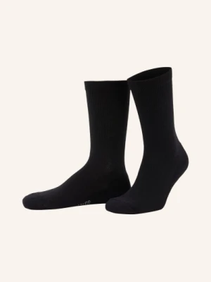 Icebreaker Skarpety Trekkingowe Lifestyle schwarz