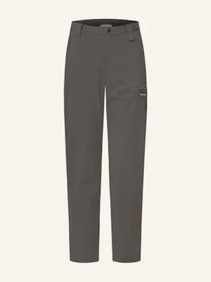 Zdjęcie produktu Icebreaker Spodnie Trekkingowe Elevation grau