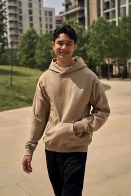 Icon bluza męska - Beige Animal