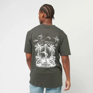 Karl Kani Icy Dancer Backprint Tee mężczyźni T-Shirty i Polo szary rozmiar Odzież