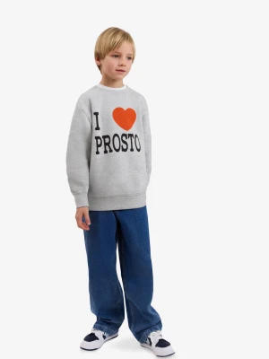 Idol bluza dziecięca szara Kids