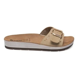 INBLU CP000047 Camel