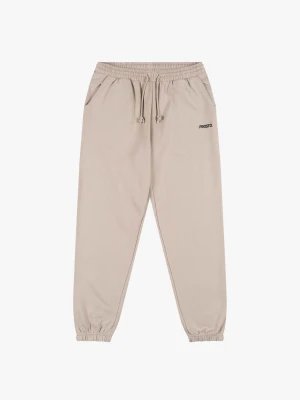 Infinity spodnie dresowe regular męskie bawełniane beżowe Klasyk