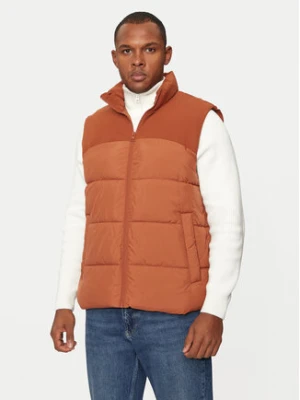 Jack&Jones Bezrękawnik Moon 12256860 Brązowy Regular Fit