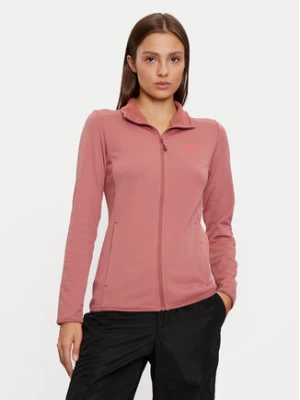 Jack Wolfskin Bluza techniczna Kolbenberg 1710354 Różowy Regular Fit